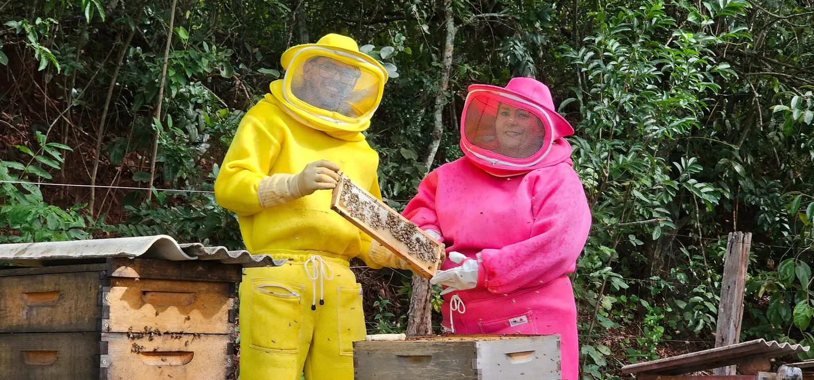 Apicultores apresentando quadros de colmeia no Apiário VS