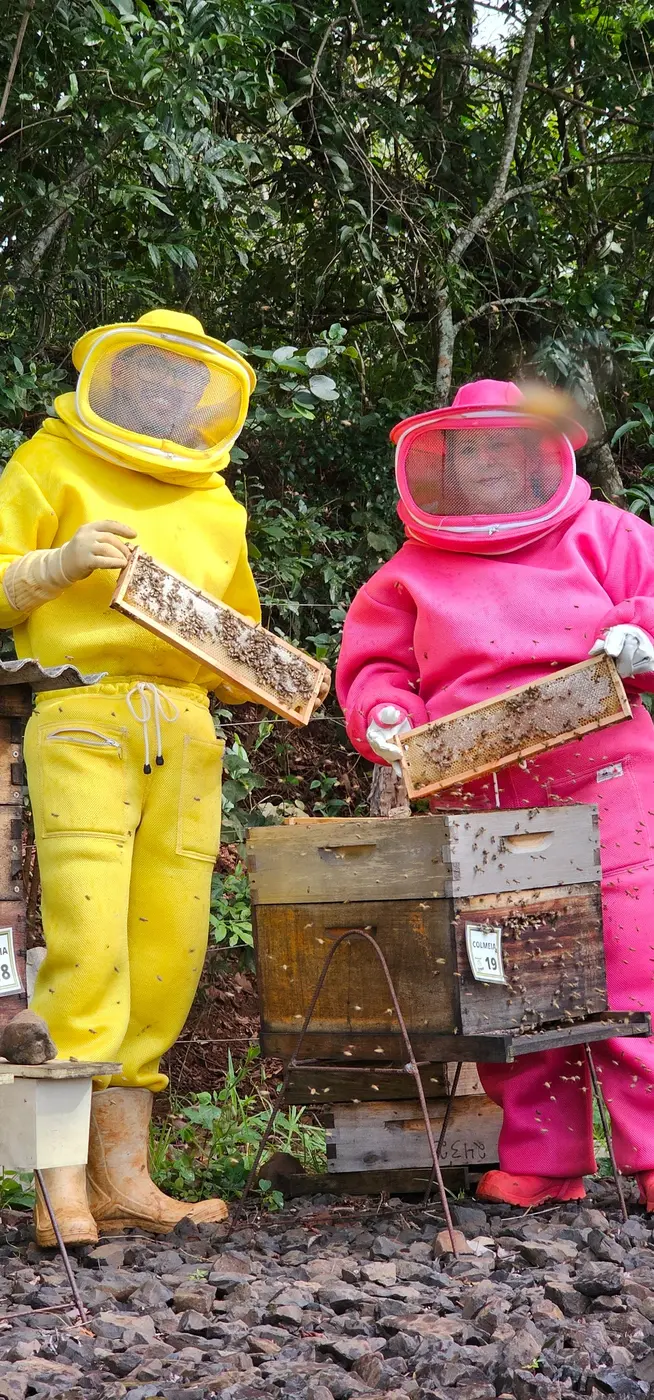 Apicultores avaliando os quadros de uma colmeia